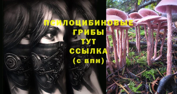 экстази Козловка