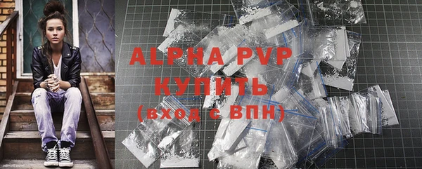 винт Анива