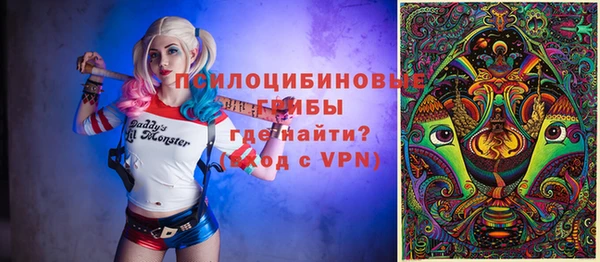 молекула духа Мегион