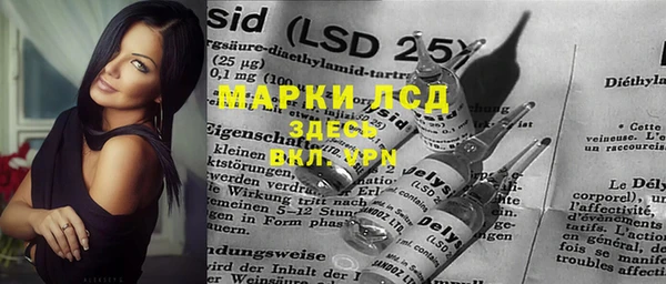 винт Анива